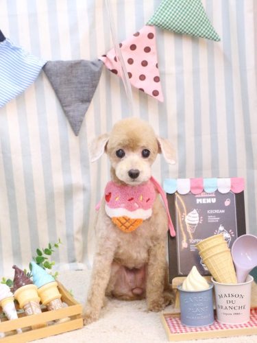 20250518ネネちゃん